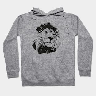 Lion portrait Hoodie